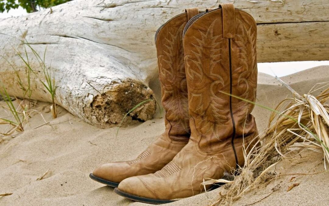bottes western